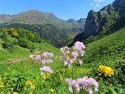 25 Geranium phaeum (Geranio stellato) con vista sul torrione del Corno Branchino ed oltre